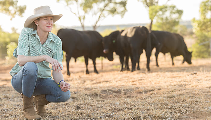 What is Beef Sustainability?