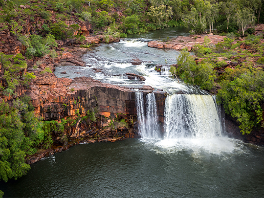 Conservation partnership to preserve native flora and fauna